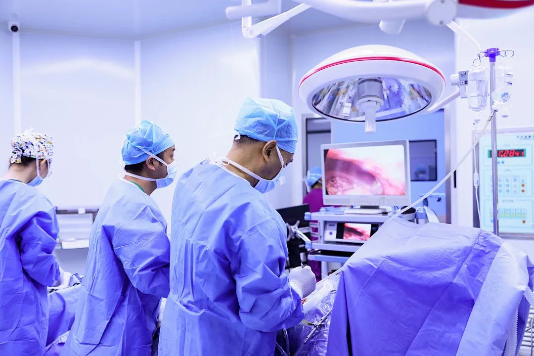 1658626871318307.jpg 1658222881184127.jpg