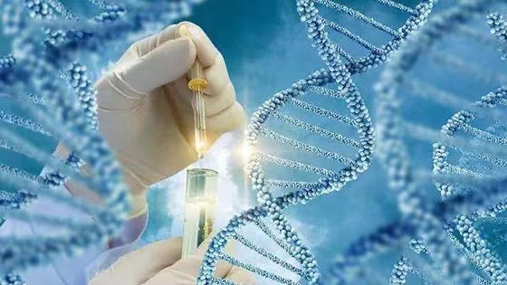 1658631048454335.jpg 1656728273504728.jpg