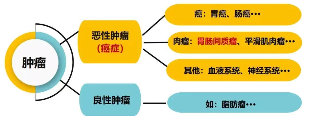 1662086039359779.jpg 微信图片_20220902103045.jpg